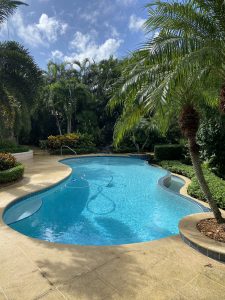 An expansive pool that has been serviced by Clear Pool Solutions